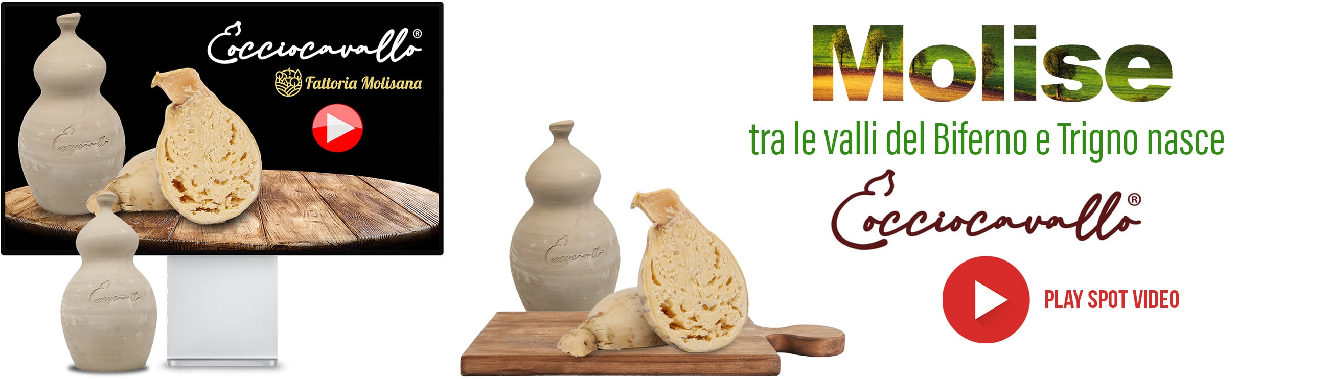 cocciocavallo_video_home.jpg